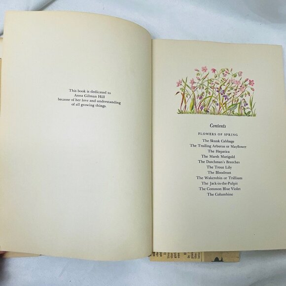 Book of Wildflower 1939 with Pressed Floral Lady Slipper  Margaret McKenny - Picture 7 of 11